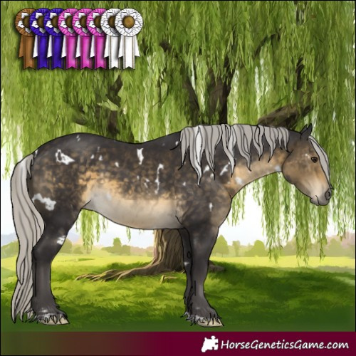 Horse Color:White Spotted Silver Buckskin 