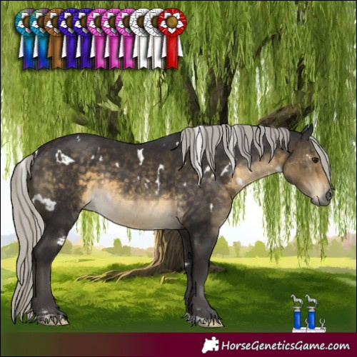 Horse Color:White Spotted Silver Buckskin 