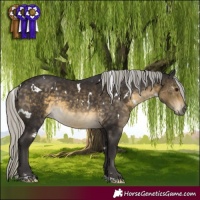 Horse Color:White Spotted Silver Buckskin 
