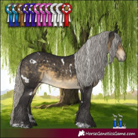 Horse Color:White Spotted Silver Buckskin 
