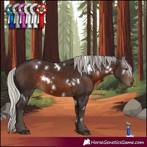 Horse Color:White Spotted Silver Brown 