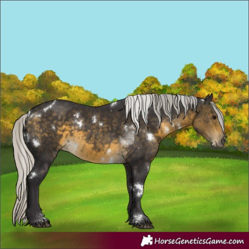 Horse Color:White Spotted Silver Buckskin 