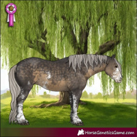 Horse Color:Silver Smoky Black Sabino 