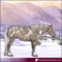 Horse Color:Powder White White Spotted Silver Grullo Rabicano