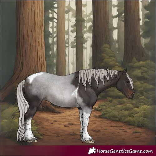 Horse Color:Silver Brown Tobiano 