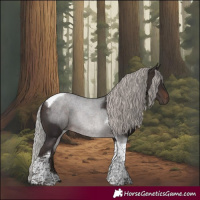 Horse Color:Silver Brown Tobiano 