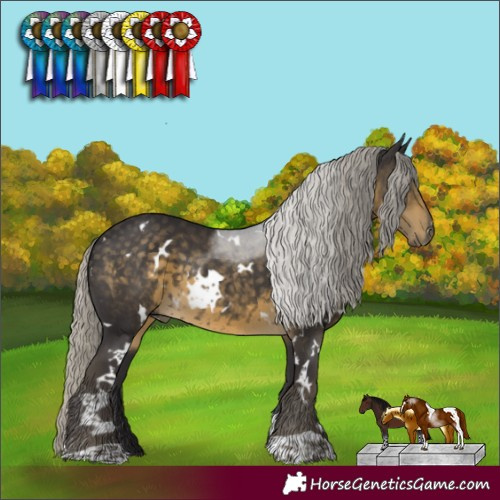 Horse Color:White Spotted Silver Smoky Black 