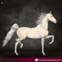 Horse Color:Palomino Varnish 