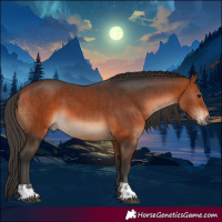 Horse Color:Bay and Bay