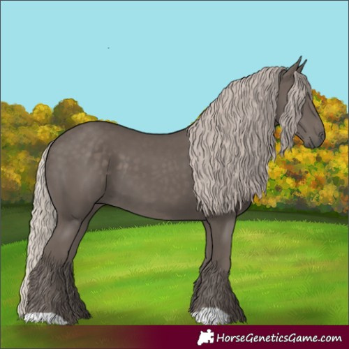 Horse Color:Silver Black 