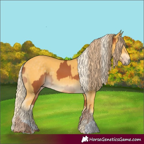 Horse Color:Chestnut and Palomino