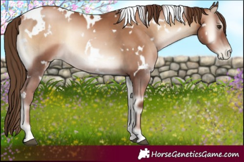 Horse Color:White Spotted Liver Red Onyx Pearl 