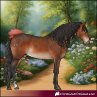 Horse Color:Bay  and Bay Rabicano 