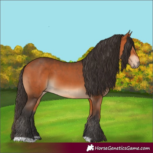 Horse Color:Bay and Bay