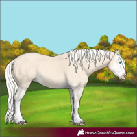 Horse Color:Cremello Splash  and Cremello Splash 