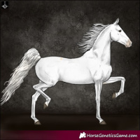 Horse Color:Palomino Varnish 