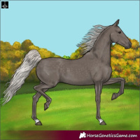 Horse Color:Silver Smoky Black 
