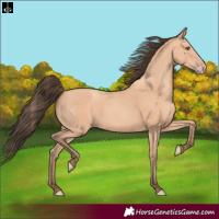 Horse Color:Amber Champagne 