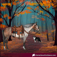 Horse Color:Gray Brown Dun and Bay