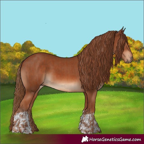 Horse Color:Chestnut and Chestnut