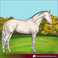 Horse Color:Cremello Splash  and Cremello Splash 