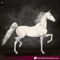 Horse Color:Cremello  and Cremello 
