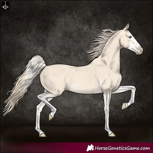 Horse Color:Cremello Splash  and Perlino Splash 