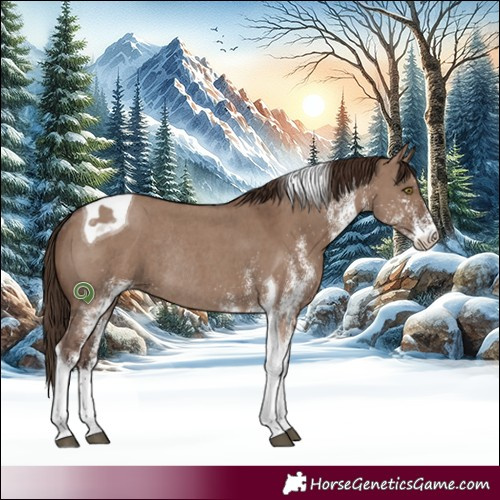 Horse Color:White Spotted Liver Red Dun Tobiano Rabicano