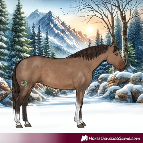 Horse Color:Liver Red Dun Tobiano Rabicano