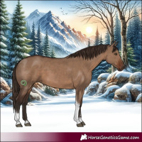 Horse Color:Liver Red Dun Tobiano Rabicano 