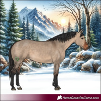 Horse Color:Bay Dun