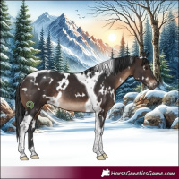Horse Color:White Spotted Brown Tobiano Rabicano