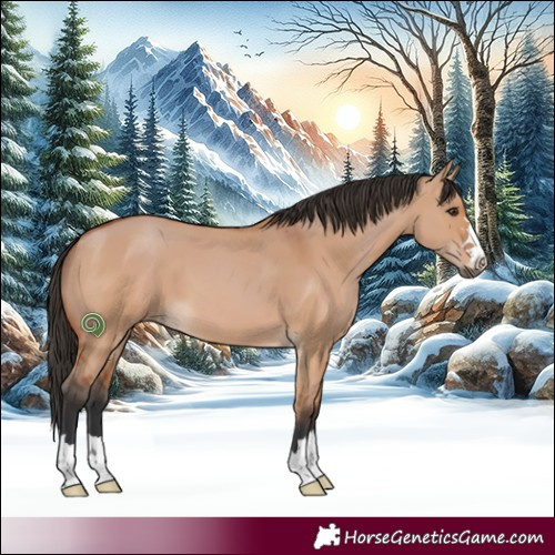 Horse Color:Bay Dun