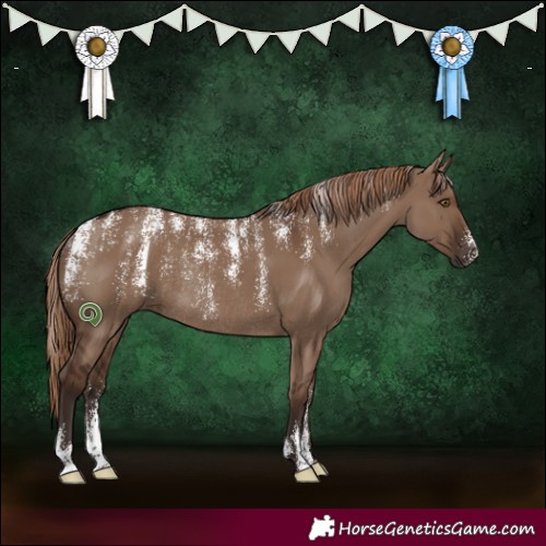 Horse Color:Powder White Liver Red Dun Rabicano 