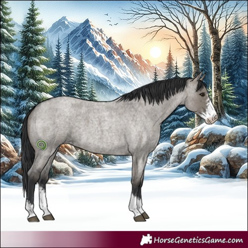 Horse Color:Grullo Roan Sabino