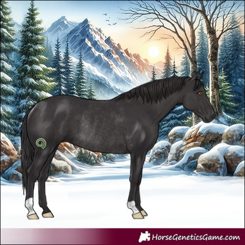 Horse Color:Smoky Black Rabicano