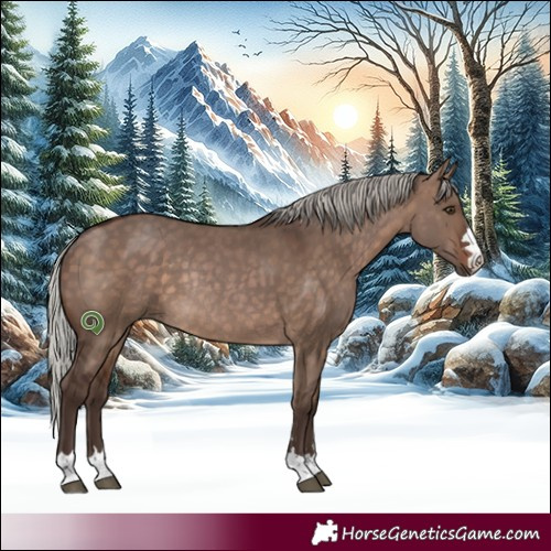 Horse Color:Silver Brown Dun Rabicano 