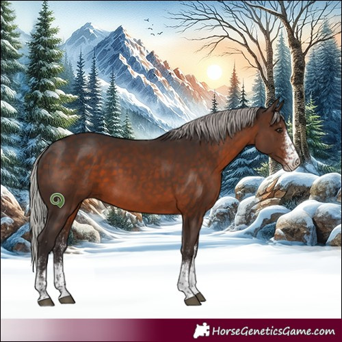 Horse Color:White Spotted Silver Brown