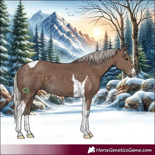 Horse Color:Silver Black Tobiano
