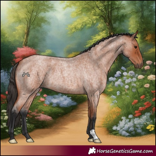 Horse Color:Bay Roan 