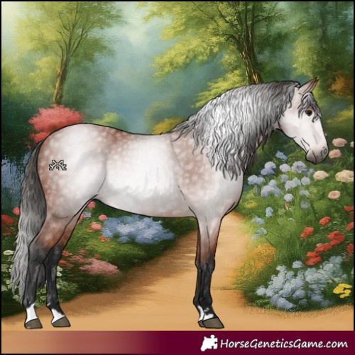 Horse Color:Gray Bay 