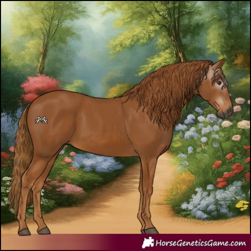 Horse Color:Gray Chestnut 