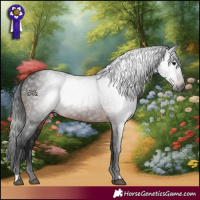 Horse Color:Gray Bay 