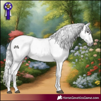Horse Color:Gray Bay 