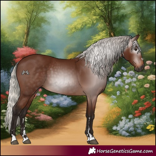 Horse Color:Gray Silver Bay 