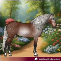 Horse Color:Gray Silver Bay 