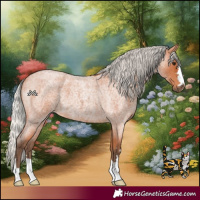 Horse Color:Silver Bay Roan 