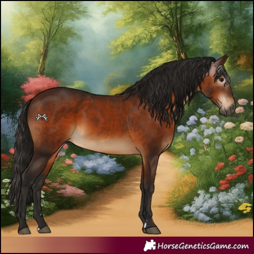 Horse Color:Gray Bay 