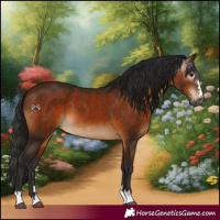 Horse Color:Gray Bay 