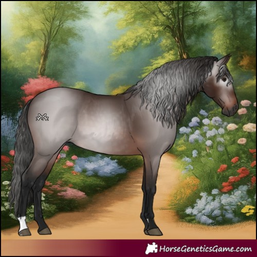 Horse Color:Gray Bay 